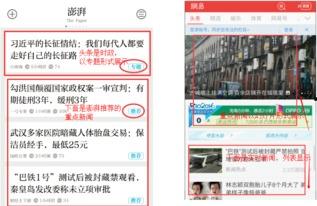 网曝热门事件2024网页版,揭秘网络舆论焦点